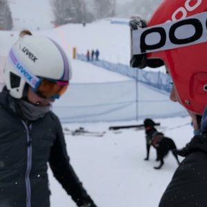 Meet your Posher, Sarra